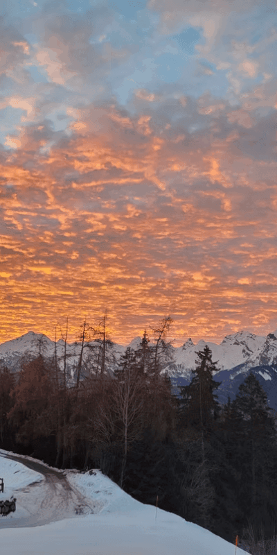 dyhrad3shktzfmakfqes Golden sunset