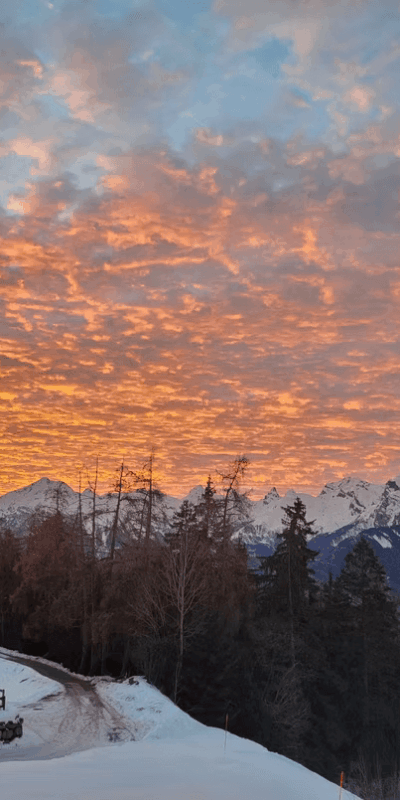 0ddd4f_0ead4264fa3b480ca29619f049cad30a~mv2 orange setting sun