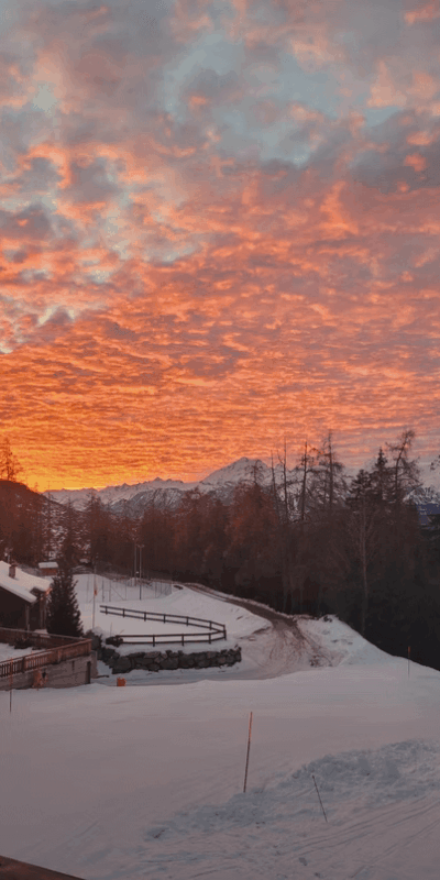 0ddd4f_7621564f3a6a4304b8609473c3eb6b31~mv2 orange setting