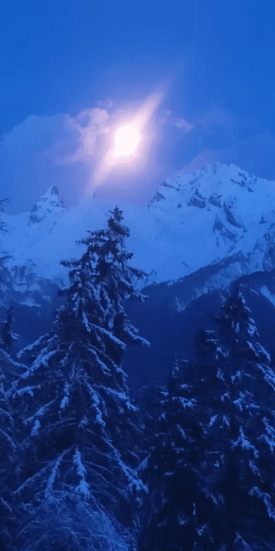 0ddd4f_9684796027b046699eddaea83732a291~mv2 moonlight night