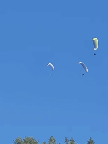 parapontes above the penthouse