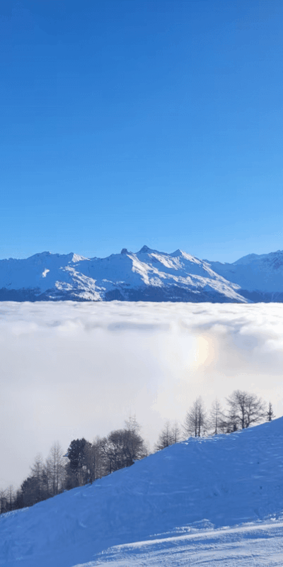 0ddd4f_b377fff3812c4f24a0374f5f57e45ed6~mv2 inverse and view at 2500