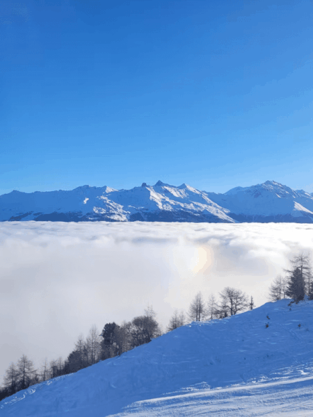 inverse and view at 2500