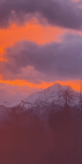 0ddd4f_bbbc67a7d7eb46ebaa8c308077c942e5~mv2