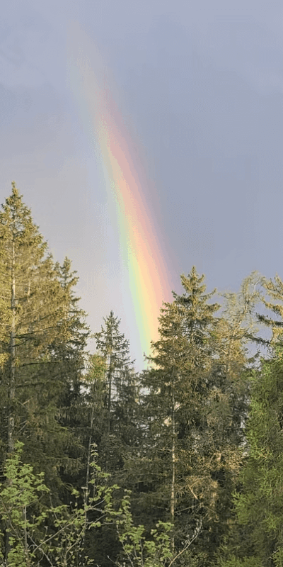 0ddd4f_e1b7b493df9d47418b43d7ac1a2c6f50_mv2 rainbow view