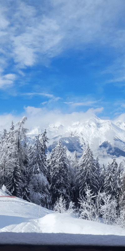 Fresh Snow! Fresh Snow!