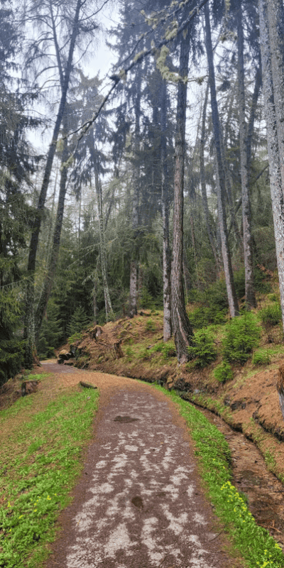 bisse de vex bisse de vex