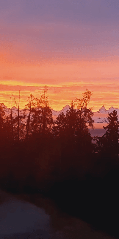 0ddd4f_70d3ef38e95e4d849a61219c460d6eb0~mv2-min golden hour again!